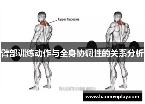 臂部训练动作与全身协调性的关系分析