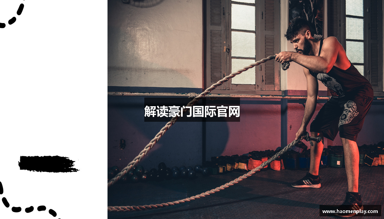 解读豪门国际官网